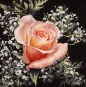 Thumbnail of Delicate Peach Picture
